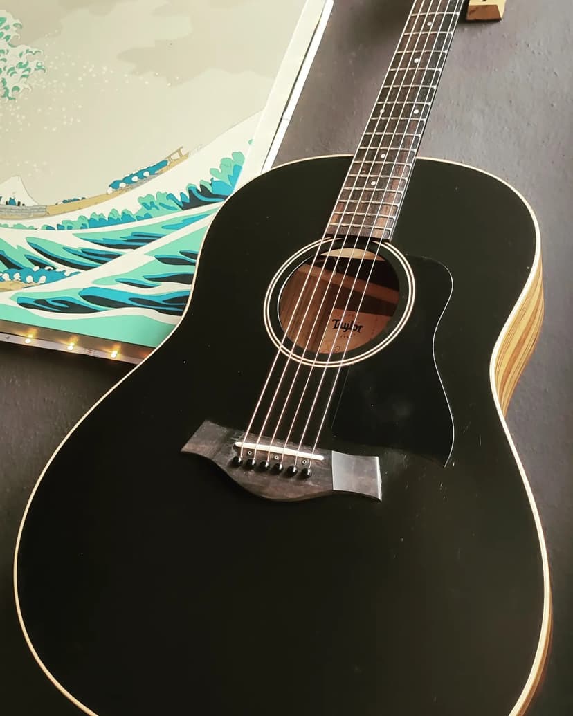 Taylor acoustic guitar for intimate performances