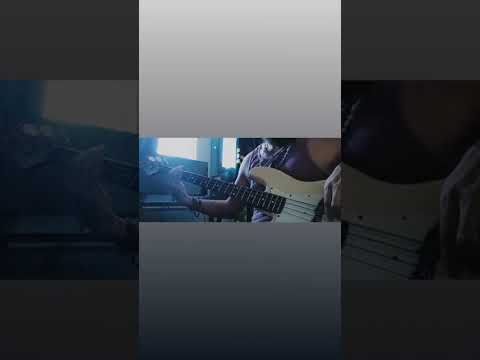 Rare Secret of the Forest 🌲  Bass Recording Session 🎸Nightsyrc