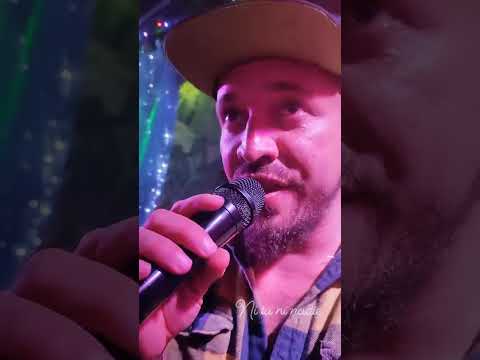 Ni tu ni nadie perra